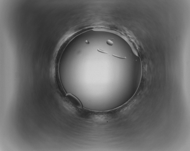 X0000112430344200908141435