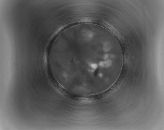 X0000112430347200908141435