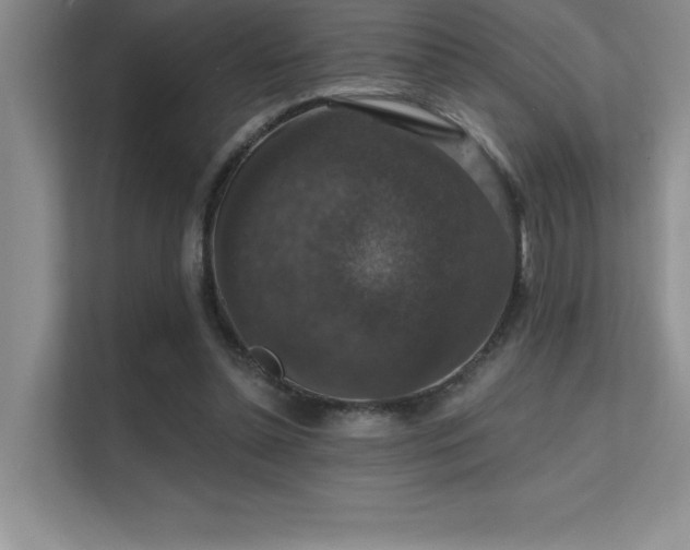 X0000112430348200908141435