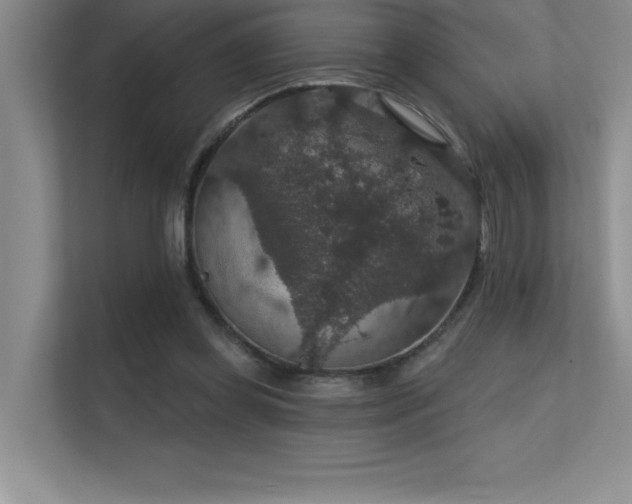 X0000112430349200908141435