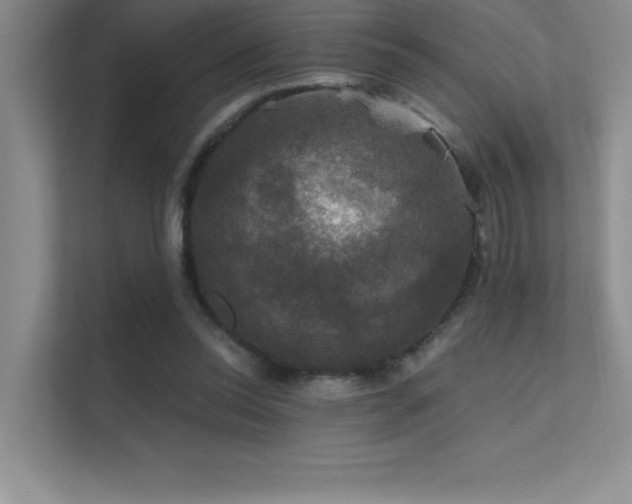 X0000112430350200908141435