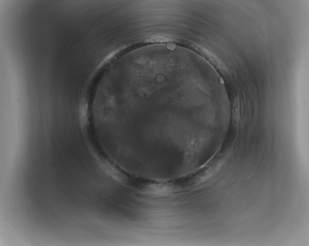 X0000112430351200908141435