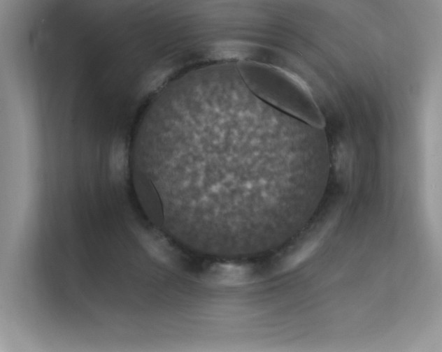 X0000112430352200908141435