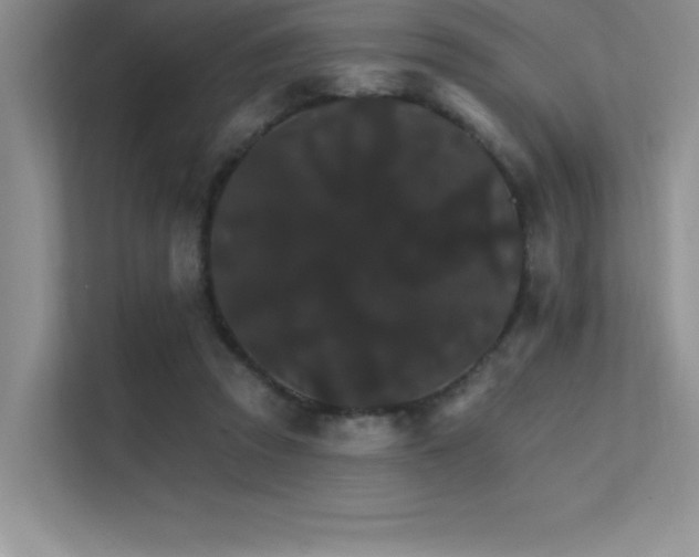 X0000112430353200908141435