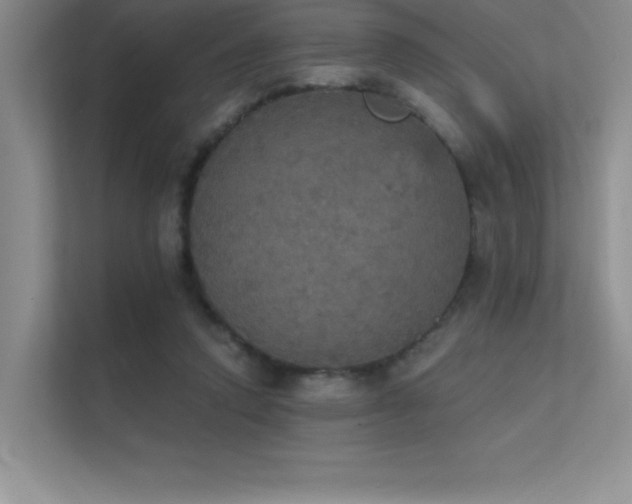 X0000112430354200908141435