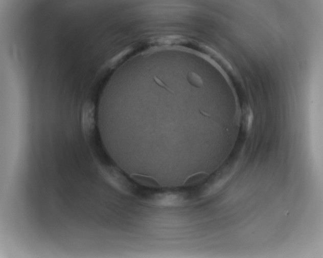 X0000112430356200908141435