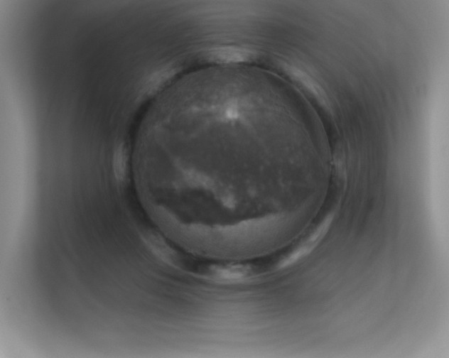 X0000112430359200908141435