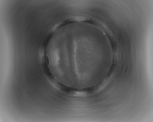 X0000112430360200908141435