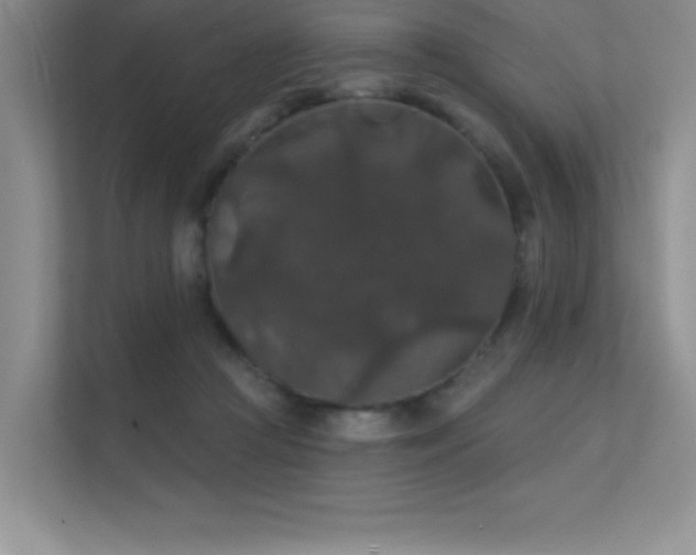 X0000112430361200908141435