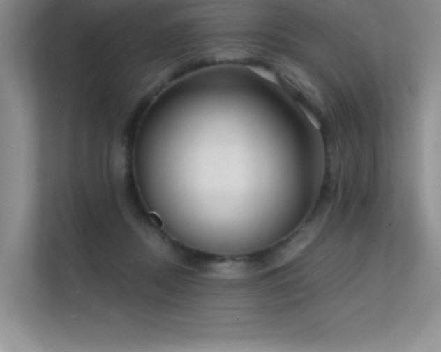 X0000112430362200908141435
