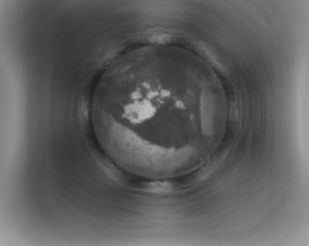 X0000112430363200908141435