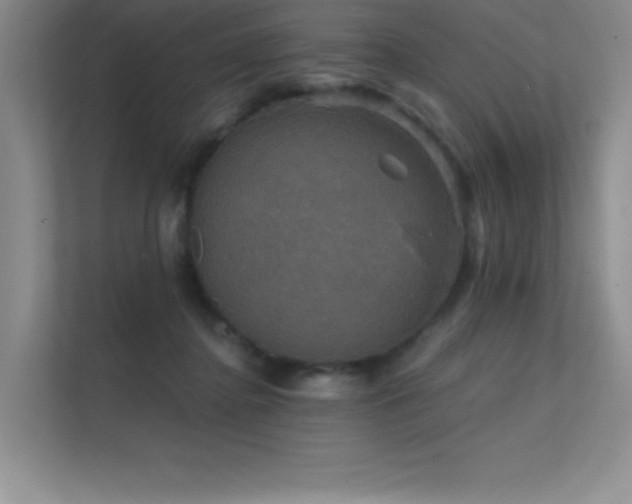 X0000112430364200908141435