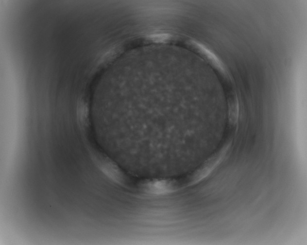 X0000112430365200908141435