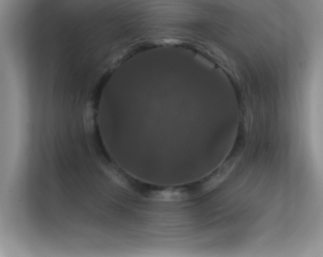 X0000112430366200908141435