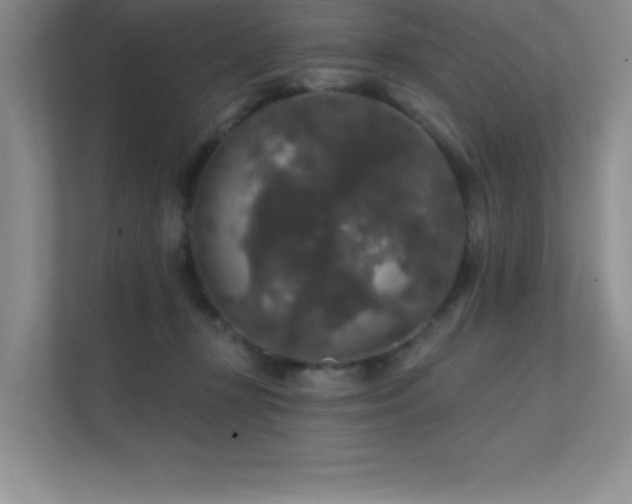 X0000112430367200908141436