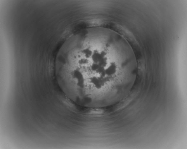 X0000112430369200908141436