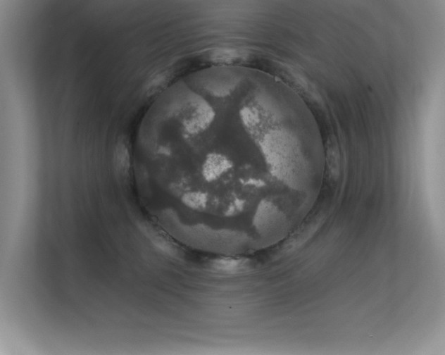 X0000112430375200908141436
