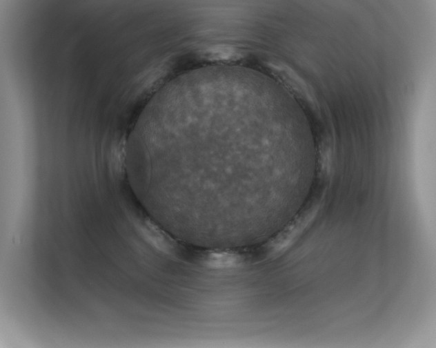 X0000112430376200908141436