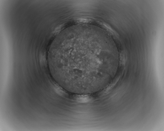 X0000112430377200908141436