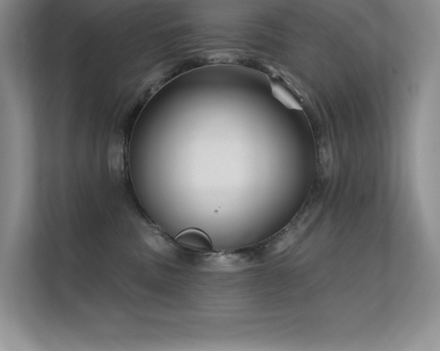 X0000112430379200908141436