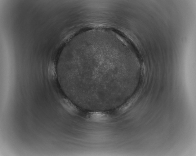 X0000112430380200908141436