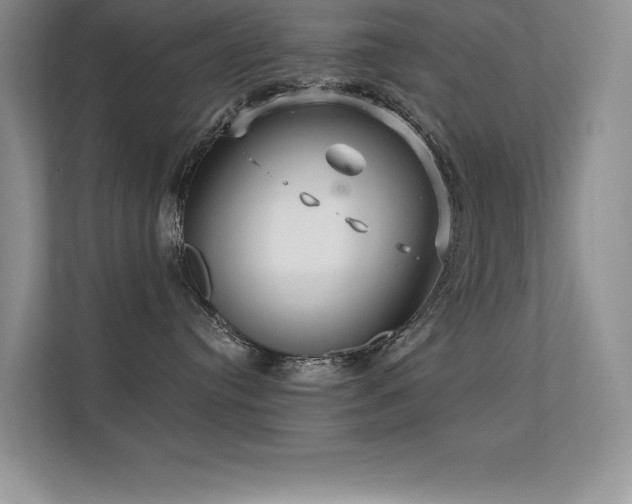 X0000112430384200908141436