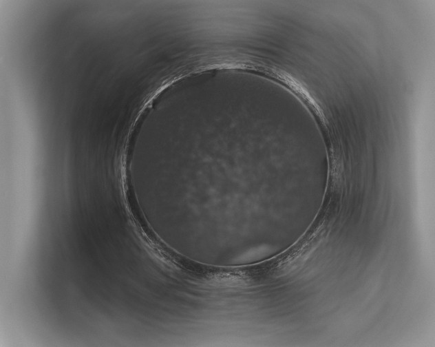 X0000112430386200908141435