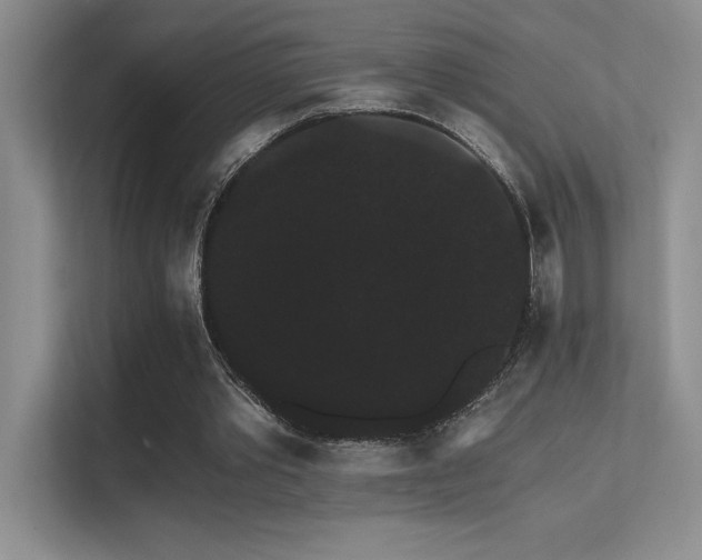 X0000112430389200908141435