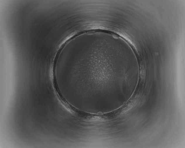 X0000112430390200908141435