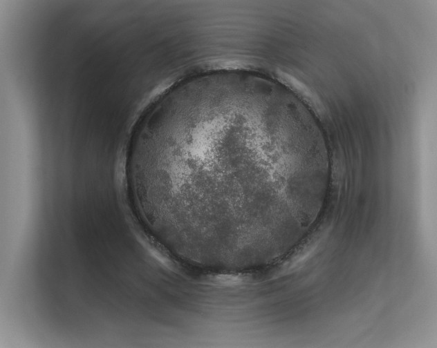 X0000112430394200908141435