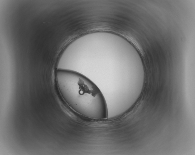 X0000112430397200908141435