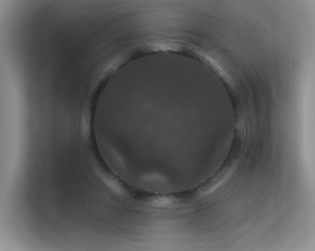 X0000112430402200908141435