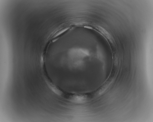 X0000112430405200908141435