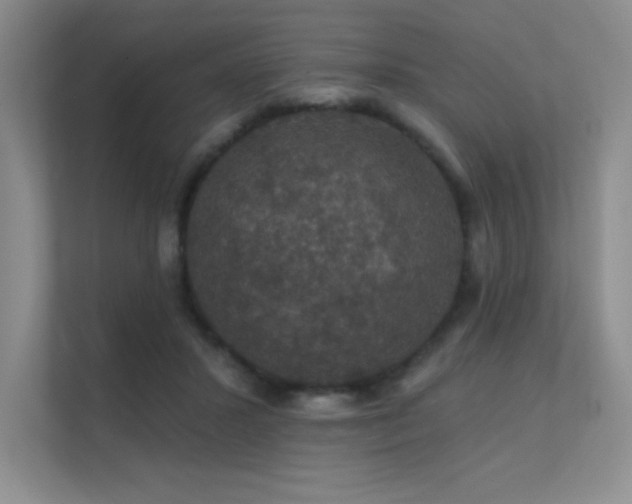 X0000112430407200908141435