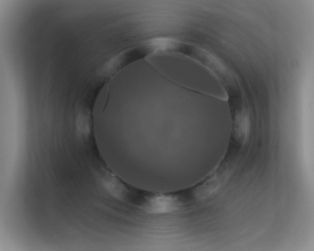X0000112430413200908141435