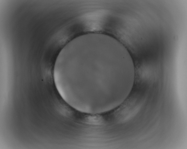 X0000112430415200908141435
