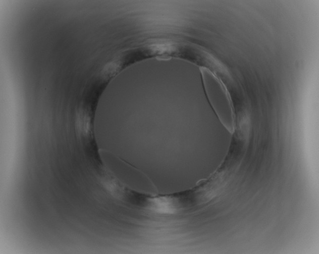 X0000112430417200908141435
