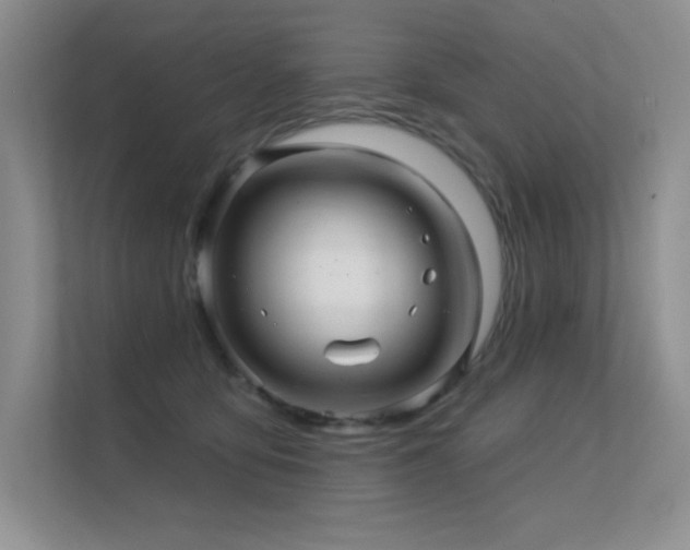 X0000112430419200908141435