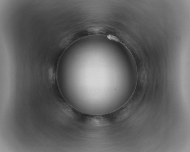X0000112430420200908141435