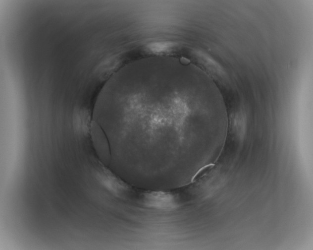 X0000112430421200908141435