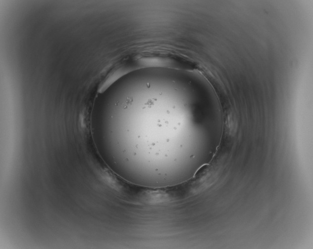 X0000112430424200908141435