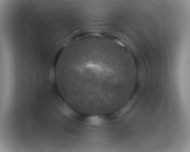 X0000112430425200908141435
