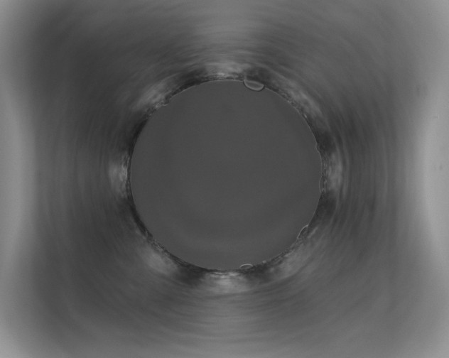 X0000112430427200908141435