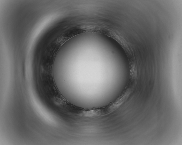 X0000112430430200908141435