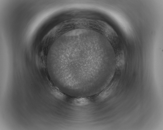X0000112430431200908141435