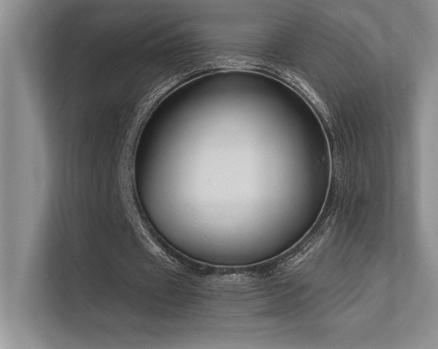 X0000112430433200908141434