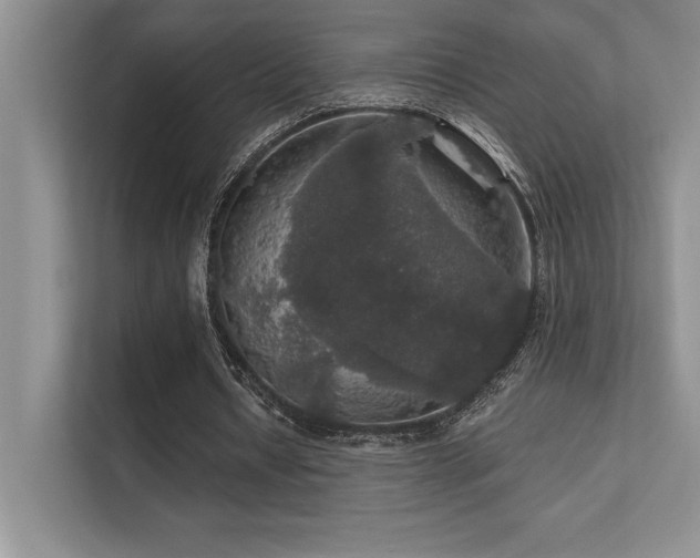 X0000112430434200908141434
