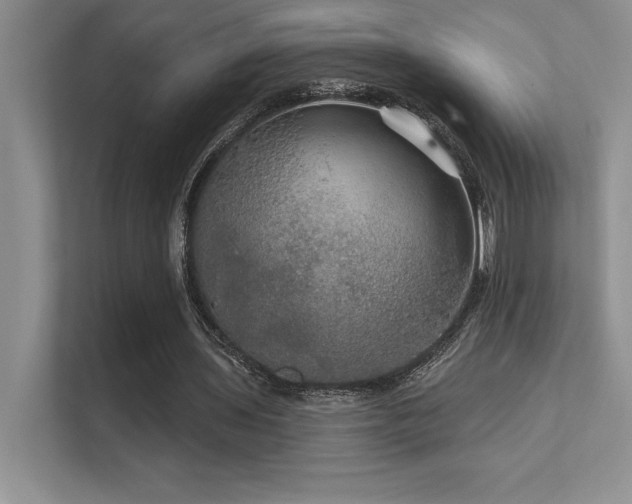 X0000112430435200908141434