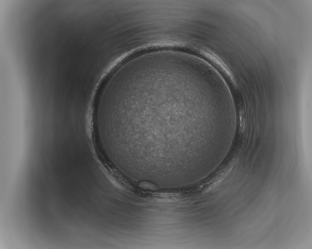 X0000112430436200908141434