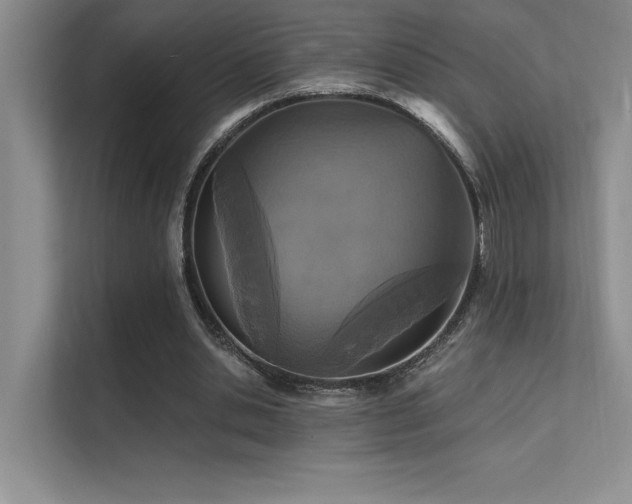 X0000112430438200908141434